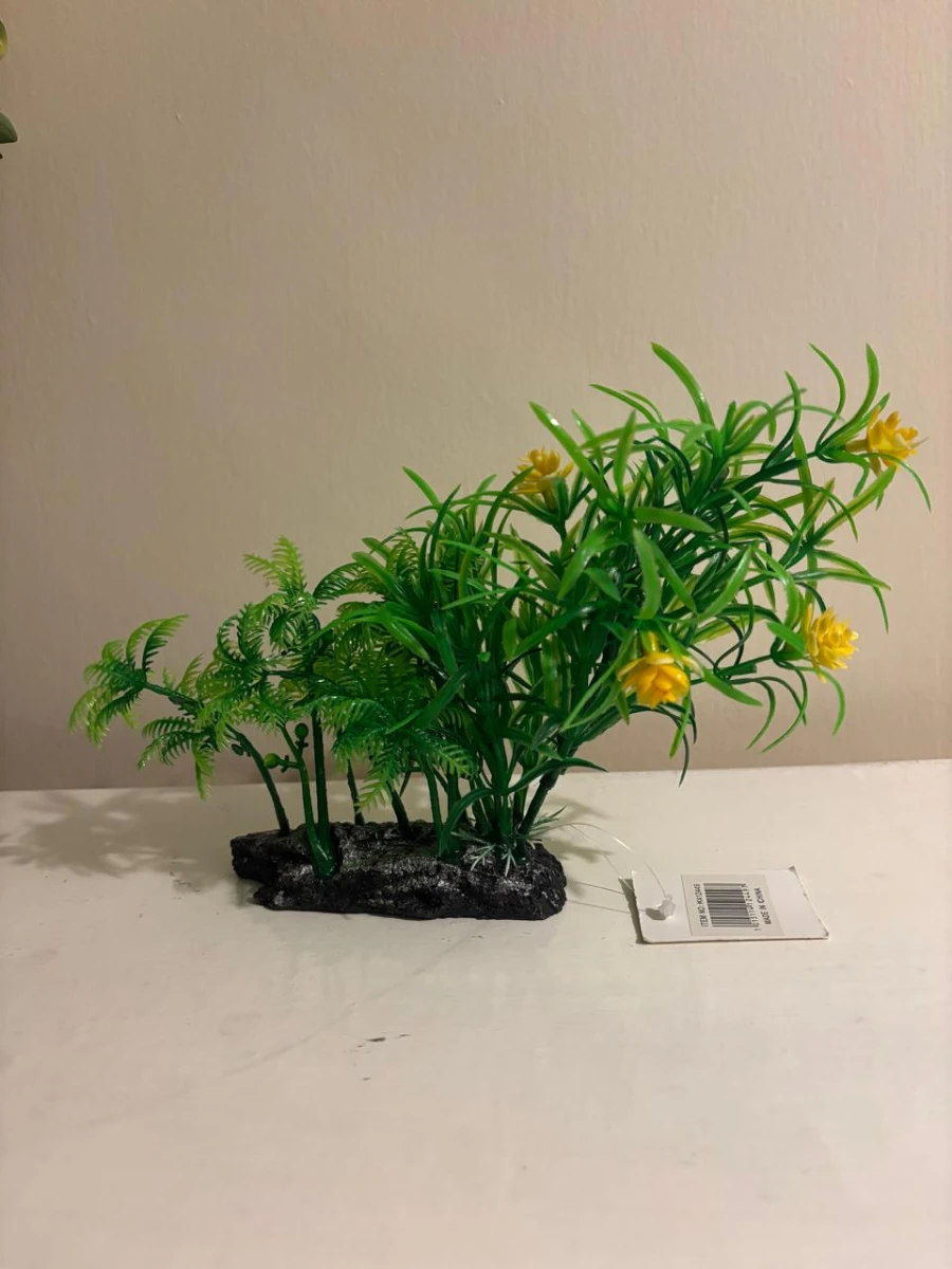 Aquarium Flower