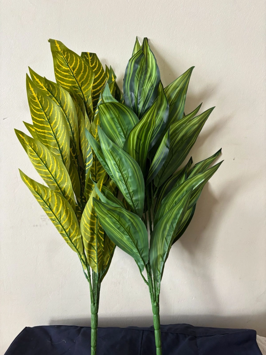 Tam Plant