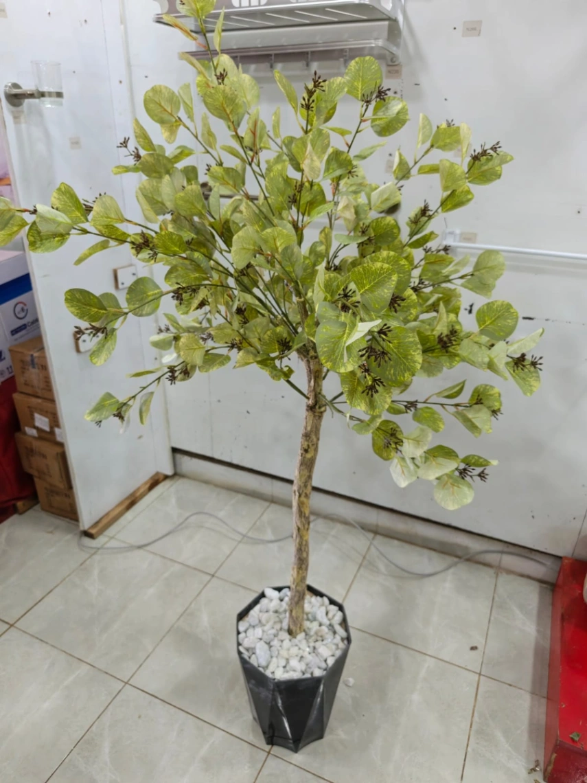 Natural Stem
